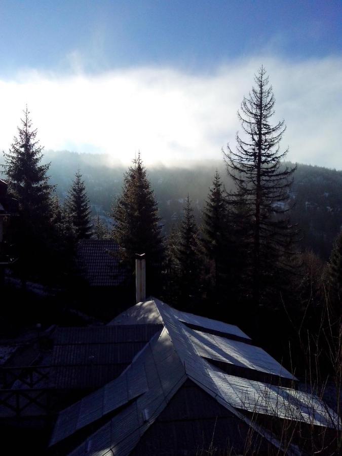 Apartments Dviletov Kutak Kopaonik Luaran gambar