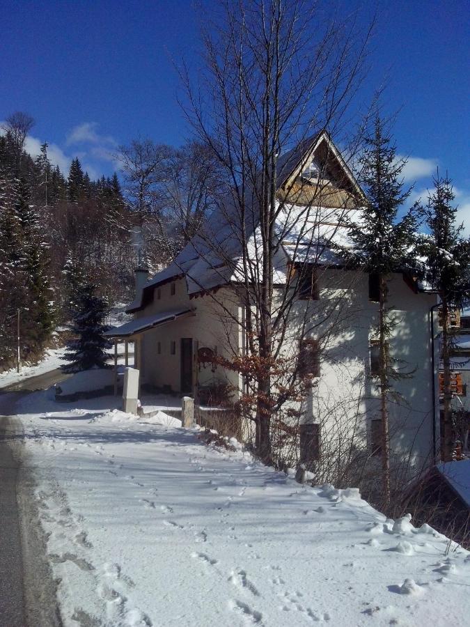 Apartments Dviletov Kutak Kopaonik Luaran gambar